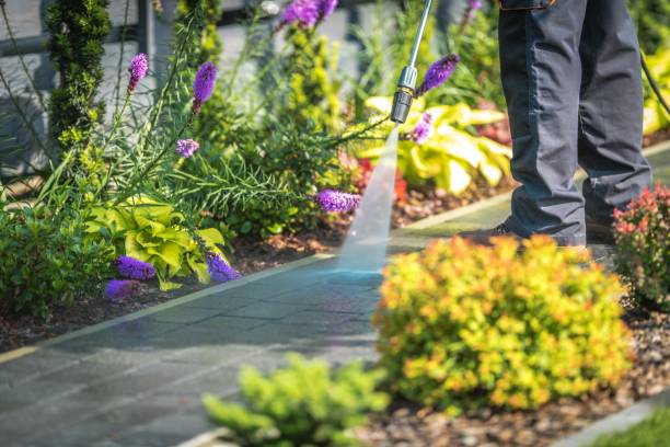Best Fence Cleaning and Maintenance in Annandale, MN