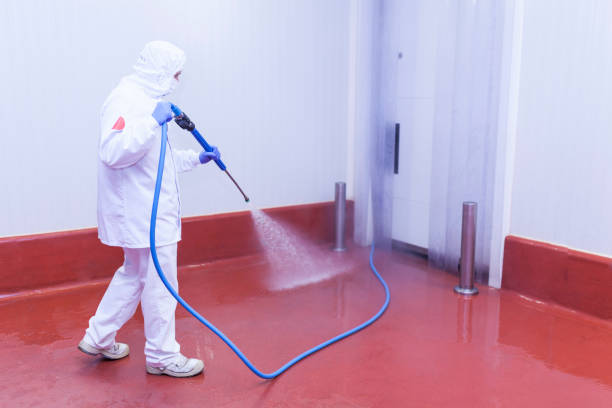Best Commercial Pressure Washing in Annandale, MN